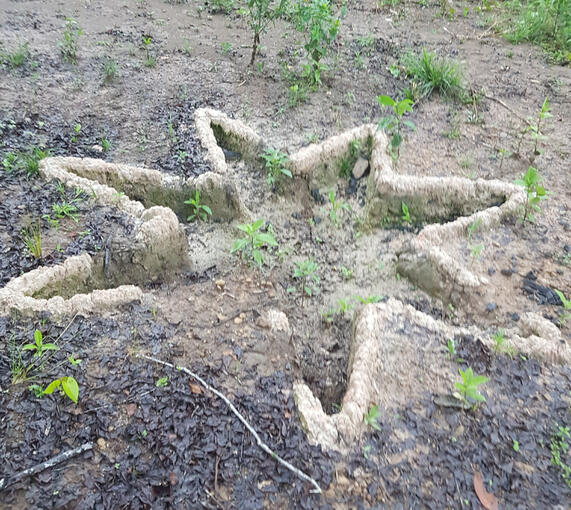 7 TOPS STAR ALTAR